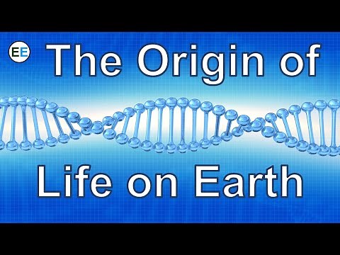 The origin of life on Earth | EvolutionExamples