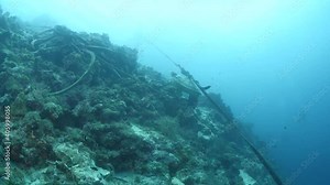 turtle underwater scratch its shell with a rope cleaning shell and some scuba divers around tropical ocean scenery behaviour Stock Video