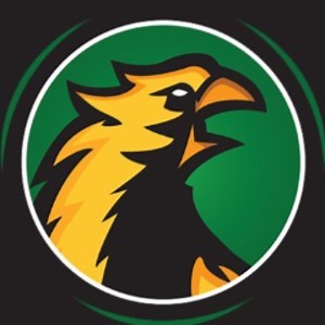 SaintsGamingCA - Twitch
