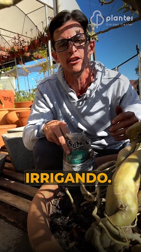 2.2K views · 76 reactions | Nesse vídeo vamos falar sobre o uso de carvão vegetal como adubo. O carvão vegetal é um material orgânico que pode trazer diversos benefícios para o seu jardim ou horta, além de ser uma forma sustentável de aproveitar resíduos vegetais.✨ Deixe o mundo mais verde com a Plantei!!! #carvão #jardim #horta #lojaplantei #saltogrande | Plantei Garden Center | Facebook