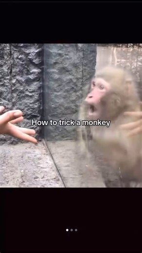 The Card Guy on Instagram: "It actually works…"