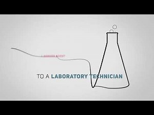 The proven performance of Kevlar® and Nomex®