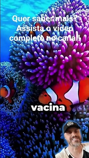 Fun facts about Nemo the clownfish that the movie didn't tell you #aquarium #ocean #fun facts
