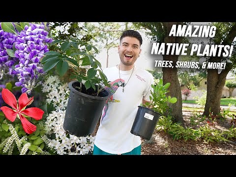 Making Over My Garden With Native Plants! Zones 6-10 Trees, Shrubs, Flowers! Houston Texas Yard!