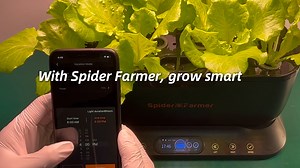 💡 New Spider Farmer Hydroponic Grow Light with APP Control! 💡 Want full control over your hydroponic grow? Our latest grow light lets you adjust settings anytime, anywhere with just a tap on your phone! 📱🌱 🎥 Watch the setup guide and take your hydroponic growing to the next level! 🌹 Looking for a unique Valentine’s gift? Give the gift of growth—because love (and plants) thrive with the right light! 💚✨ 👉Get Yours: https://www.spider-farmer.com/products/spider-farmer-hydroponics-growing-sy