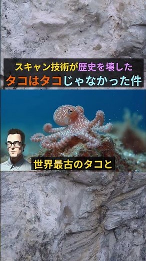 The true identity of the oldest octopus! Scientific proof reveals its origins have shifted 100 mi...
