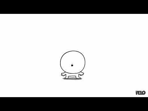 The “N” Word - Sr Pelo