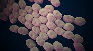 Frontline - Hunting the Nightmare Bacteria - Twin Cities PBS