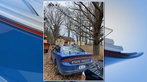 Ovid man suffers fatal fall working as tree trimmer