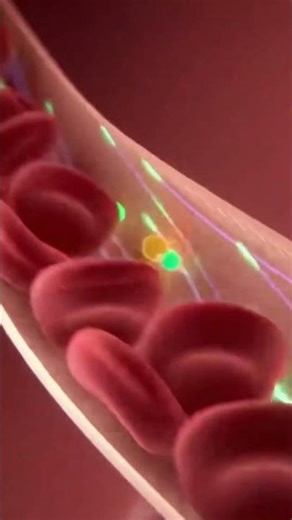 What Happens Inside a Child’s Body When They Eat an Apple? | 3D Animation