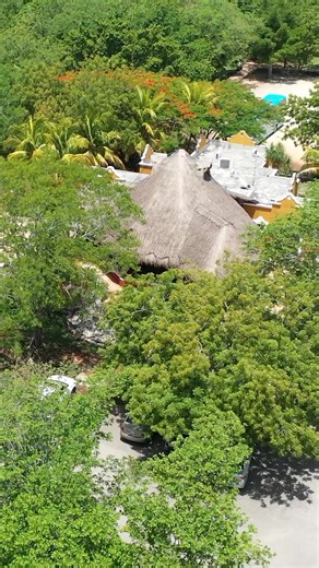 👨‍🍳 Desde el corazón de la cocina yucateca Conoce al chef de Hacienda Sotuta de Peón, quien cada día transforma ingredientes locales en experiencias llenas de sabor. 🌿🔥 Él nos comparte un poco de su pasión por preservar las recetas tradicionales, ¡y su amor por la buena comida! 🍽️✨ Detrás de cada platillo hay historia, orgullo y manos expertas que honran la cultura de Yucatán. ¿Listo para probarlo tú también? 📅 Reserva al número 📞 9991 75 99 23 🔗 haciendaviva.com -- 🍳 From the heart of 