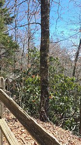 3.8K views · 63 reactions | Beautiful day on the Appalachian Trail at Newfound Gap.  | Explore Tennessee | Facebook