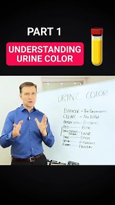 UNDERSTANDING URINE COLOR PART 1: WHAT DOES IT MEAN? 💧 Curious about what your urine color says about your health? 💡 In Part 1, we break it down—hydrate, stay healthy, and understand the signs! Watch now. #Urine #Pee #DrEricBerg #KetoDiet #HealthTips #Hydration #Wellness #UrineColor #HealthyLifestyle #BodySignals | Diet & healthy By Dr