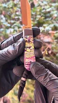 Presenting Backwoods FIXedc in Abalone