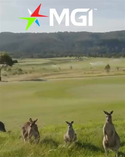 On Australia Day, we celebrate our Aussie roots, the people in our community, the walk around the course, and our shared love of the game. Enjoy the day and hit them well! | MGI Golf