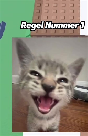 Würdet ihr mich nehmen? Roblox Abenteuer und Ladegerät Tipps