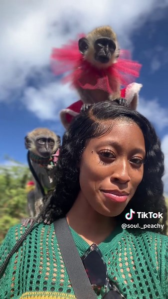 Exploring the Island Life in St. Kitts