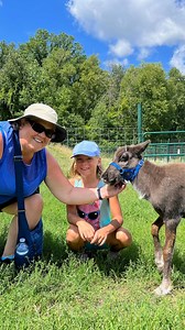 5.7K views · 63 reactions | Come make awesome memories in Clare,...