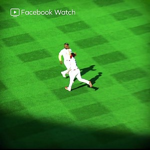 483K views · 6K reactions | Follow St. Louis Cardinals for every game recap and series recaps all postseason long. | St. Louis Cardinals Highlights | Facebook
