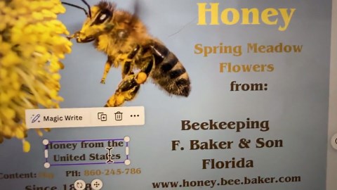 Customizable Honey Jar Label Template, Canva Editing, Custom Sticker, Imprint, High Quality Photo Label, Custom - Etsy