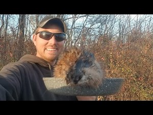Live In The Fur Shed (Cooking MUSKRAT)
