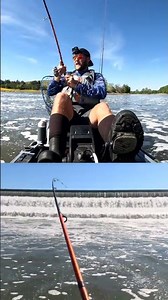 Hooking A Hybrid Bass Below the Spillway