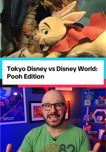 Tokyo Disneyland vs Disney World: Winnie the Pooh Ride Comparison