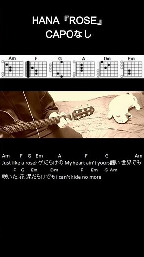 HANA『ROSE』ギターコード【弾き語り/サビ練習用/歌詞】#Shorts