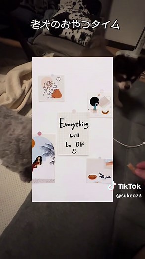 犬のイラスト壁紙おすすめ