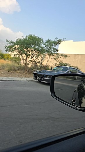 No es vw pero no podíamos dejar pasar esta 💎 quien apasionado por los MUSTANG | Bug Rat Fink