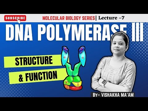 DNA POLYMERASE III [ Structure & Function ] | Lecture – 7 #molecular_biology #molecularbiology