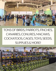 ARCADIA HUGE BIRD SALE! BUY-SELL-TRADE Sat. August 16th, 2025 @ Masonic Lodge 50 W. Duarte Rd. Arcadia, CA. 91007 www.exoticbirdmart.com | Exotic Bird Mart & Expo Inc.