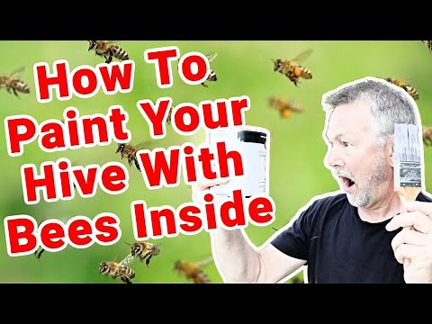 Beekeeping | Painting Old Hive Boxes With Bees Inside