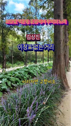 이리가면고향#김상진 이정표없는거리 #이정표없는거리#김상진#상암동하늘공원