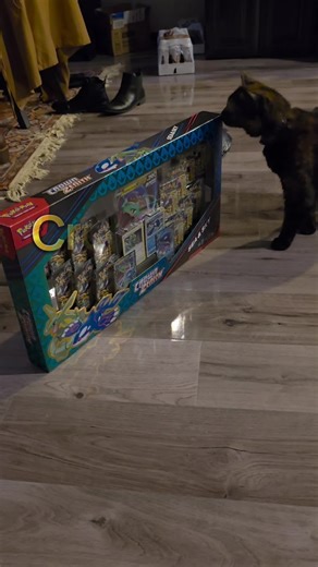 Crown Zenith Sea & Sky Opening, Finale! #pokemoncards #pokemonpackopening #crownzenith