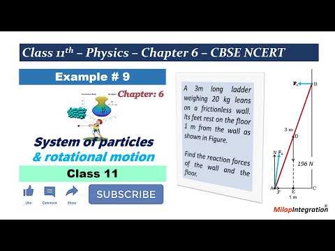 Ex 6.9: Ladder Problem Battle | Class 11 Physics Chapter 6