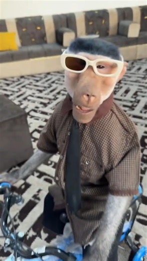 how u see this funny video #funny #funnyvideo #funnylaugh