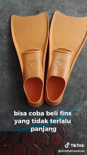 Essential Freediving Gear for Beginners