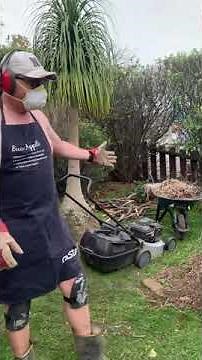 Masport genius 4 in 1 lawn mower