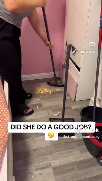 Spring Cleaning #funnymemes #streetelementsmagazine