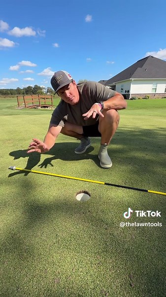 Lawn Renovation Tips: Removing Rocks Effectively