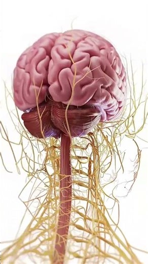 Periods क्या है? क्यों आते हैं Periods? जानिए #periods #menstrualcycle