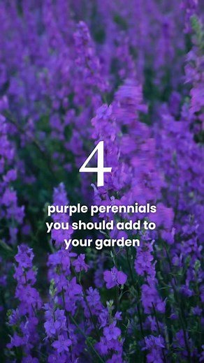 Fast Growing Trees on Reels