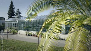 Big greenhouse with glass walls, foundations, gable roof, garden bed. 4k horticultural conservatory for growing vegetable and flowers. Classic cultivate greenhouse gardening. Sunny day.