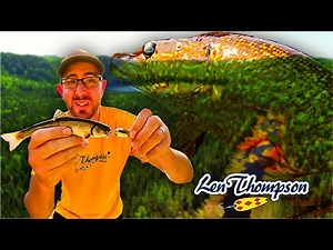 Wild Brook Trout and Northern Pike Fishing in La Tuque, Québec