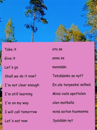 Essential Finnish Phrases for Beginners