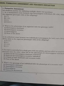 In a monohybrid cross between two heterozygous individuals (Rr ... | Filo