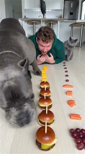 I Challenged My Dog to Eat FAST… You Won’t Believe What Happened! 😱🤣 #shorts #dogs #funny #challenge