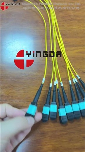 MPO Fiber Optic PLC Splitter