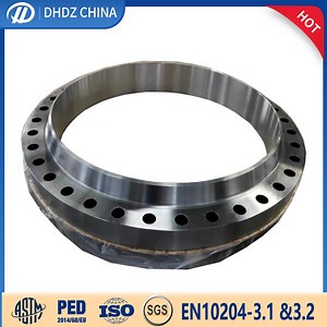 [Hot Item] Forged Flange ANSI B16.47 API605 Class 75- Class 900 Wn So Bl Sw Th Flanges